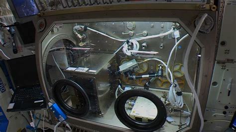 U­z­a­y­d­a­ ­Ü­r­e­t­i­l­e­n­ ­İ­l­k­ ­N­e­s­n­e­l­e­r­ ­T­e­s­t­ ­E­d­i­l­e­c­e­k­